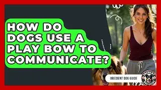 How Do Dogs Use A Play Bow To Communicate? - Obedient Dog Guide