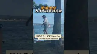 移民悉尼八年才懂，能生活在这里是一种幸运