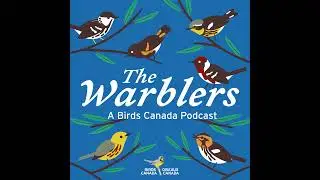Biking for Birds: athletics to inspire bird conservation