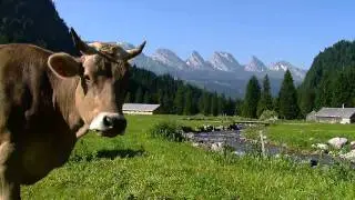 Toggenburg Tourismus - Sommer