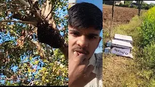 Bumrah mad kitana bada beta hai 🪰