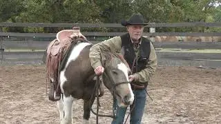Educating Duke Part 8  First Snaffle Bit