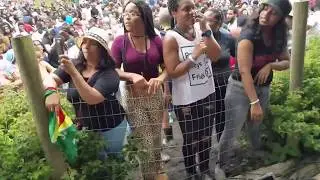 Linganore Caribbean Wine Music & Art Festival - DMV DC Reggae
