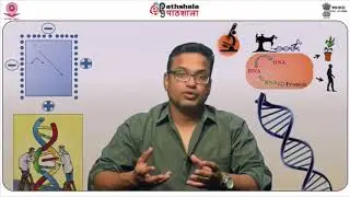 Protein Expression Vectors