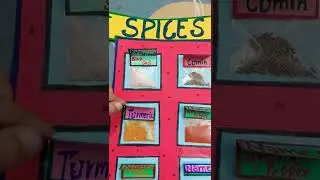 Spices art ,school project work || spices activity for kids || indian and english names.😀.