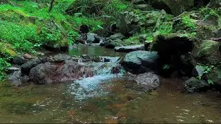 4K-HDR | Sleep Deeply with Relaxing River Sounds | Nature Water Ambience for Stress Relief and Rest
