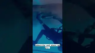 d #diving #dive #comerciales