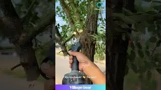 My Garden is BEGGING for This Electric Pruner! 😂 This Gadget is a BEAST! You Have to See It!