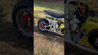 Monster moto
