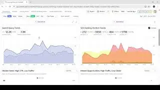 Daily SEO Trends Explained | Track Clicks, Impressions & Position Daily | Rankerli