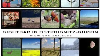 𝐒𝐢𝐜𝐡𝐭𝐛𝐚𝐫 𝐢𝐧 𝐎𝐬𝐭𝐩𝐫𝐢𝐠𝐧𝐢𝐭𝐳-𝐑𝐮𝐩𝐩𝐢𝐧 * ganzer Film * Dokumentation aus Brandenburg * Director's Cut