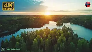 Relaxing Saturday Morning Music 528Hz