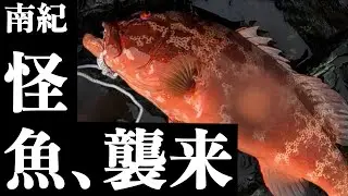 【衝撃】串本でルアー＆クエタックル２本出し！【和歌山】