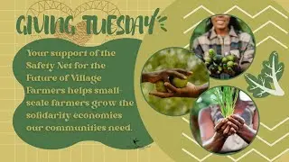 the safety net for the future of village farming