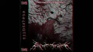 KOLKHETIAN - Ostracized