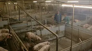 Kringlooplandbouw - Reststromen veehouderij