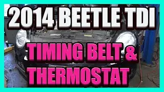 2014 Beetle Timing Belt and Thermostat