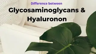 Glycosaminoglycans  & Hyaluronan.