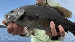 Southern Ontario Fly fishing Forecast for August 20th!