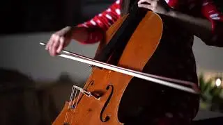 Chinese New Year 拜年 | Cello 大提琴