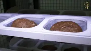Meesterbakker Roodenrijs - Broodbakkers aan het werk.
