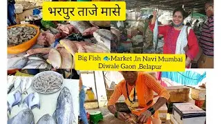 Diwale Gaon Fish,🦈🦀🐟 Market ,Belapur |नवी मुंबईतिल सर्वात मोठे फिश🐠 मार्केट,दिवाळे गाव ,बेलापूर