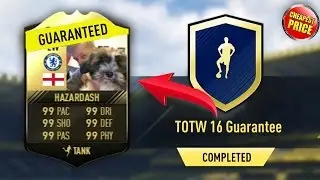Cheapest Way To complete TOTW 16 Guranteed Inform SBC under 18k