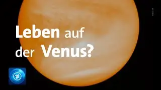 Forscher entdecken m&ouml;gliche Hinweise auf Leben in Venus-Atmosph&auml;re