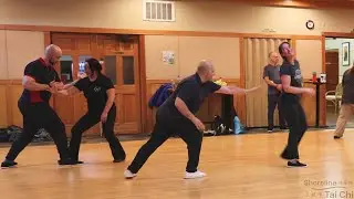 Positive Vibes at the Shoreline Tai Chi Open Mat  #taijiquan #tuishou