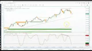 PRO TRADERS WORKSHOP USDOLLAR INDEX