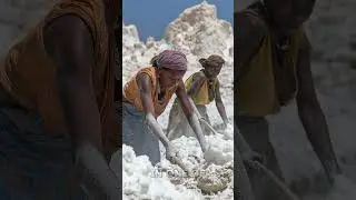 Women Braving 120&deg;F! Mining Salt in Danakil 🌡️💪  #geography #facts #viralvideo