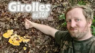 Girolles 2021 : On commence les vacances par une belle journ&eacute;e aux girolles !