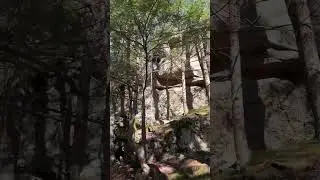 Free things to do in Rochester NH! The Gonic trails are a hidden gem and a personal favorite of mine