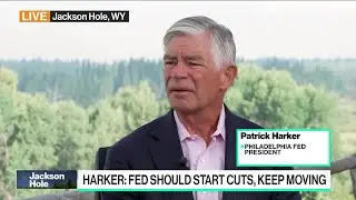Fed&rsquo;s Harker Sees No Large, Outsized Risk From Unemployment
