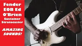 Fender EOB Ed O'Brien Sustainer Stratocaster - Heavily Modded