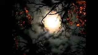 Ben Decter - Insomniac