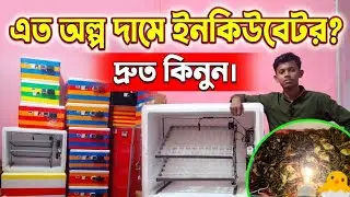 ৪০, ৮০ এবং ২৭৬ ডিমের ইনকিউবেটর | সেমি অটোমেটিক এবং ফুলি অটোমেটিক ইনকিউবেটর  ভিডিও. 