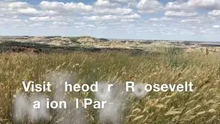 Visit the North Dakota Badlands at Theodore Roosevelt National Park