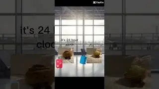 Dumb people 