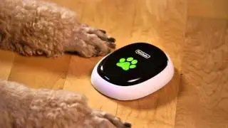 PetChatz® HD and PawCall®: Call Your Pet; Your Pet Calls You
