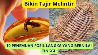 BIKIN TAJIR MELINTIR.10 PENEMUAN FOSIL LANGKA YANG BERNILAI TINGGI.