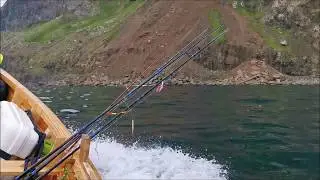 Guided boat tour in S&oslash;rv&aacute;gur