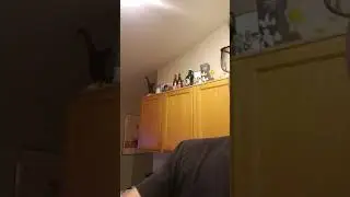 Worst Review on Mustard Soda