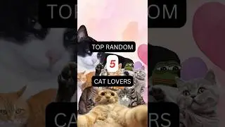 Random Top 5 Cat Lovers #history #cats