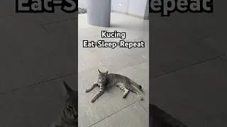 Eat-Sleep-Repeat