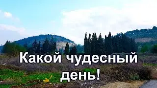 620.Кибуц Эйн Харод.Гора Гильбоа .Хаим Сутин