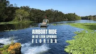 Airboat Ride with Airboat and Gator Charters