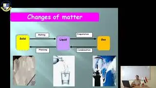 Primary 4 |Science| Unit 1 Lesson 2 Week 3&4 (2020-2021)