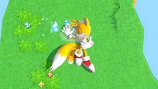 Tails Sleeping