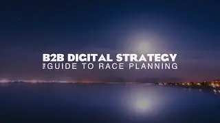 SuccessFlow &ndash; The B2B Digital Strategy Guide to RACE Planning